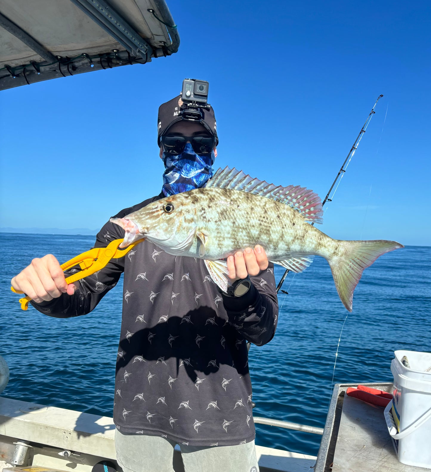 Ultimate Fish Grip - Yellow
