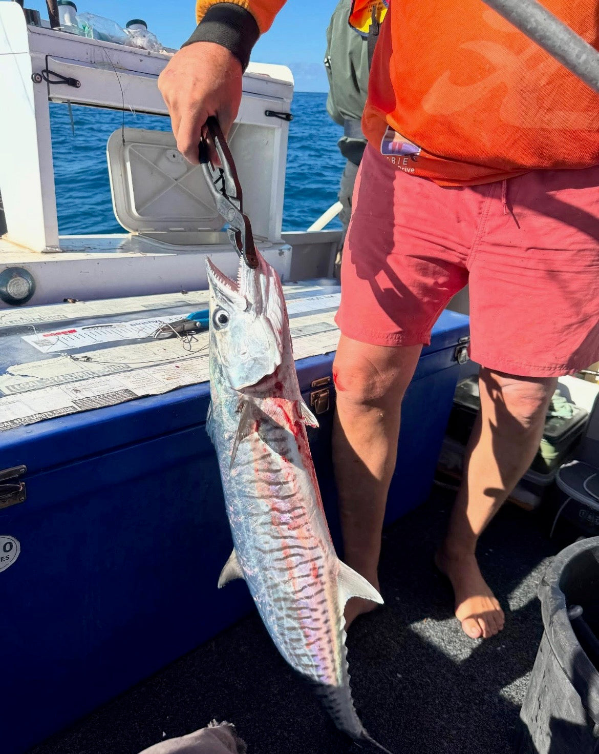 Ultimate Fish Grip - Black